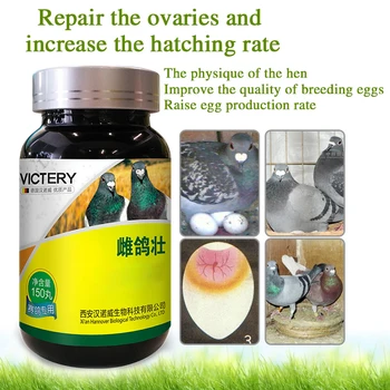 Уелнес продукти Pigeon Strong Подобряват физика и производство на яйца, пилета, а също така подобряват качеството на разплодни яйца